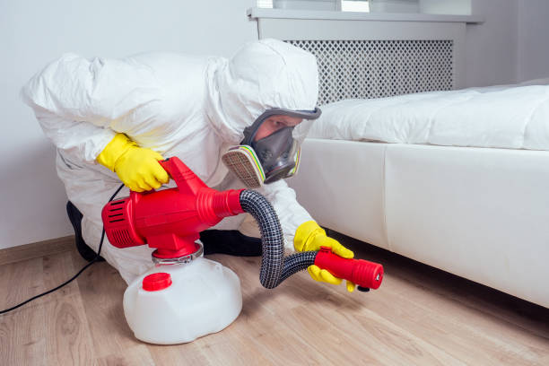 Real Estate Pest Inspections in Harrison, NY